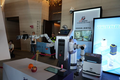三年行動計劃發布 成都將打造全國人形機器人研發制造增長極和示范應用新高地